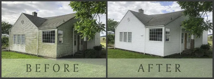 before and after house washing